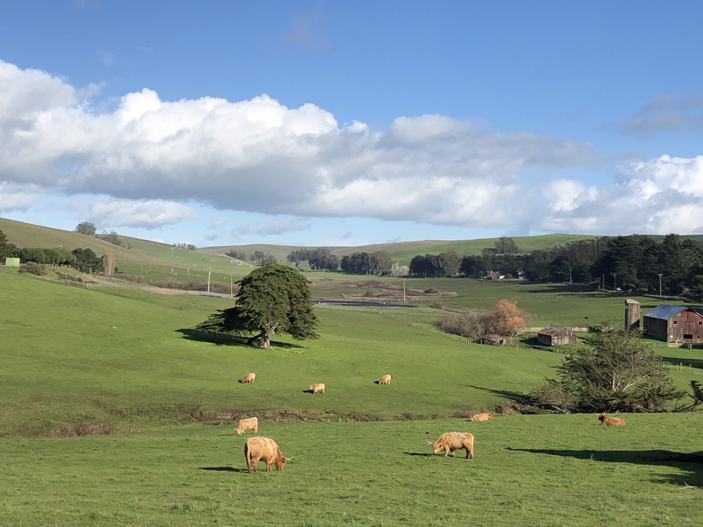 Tomales Valley, CA